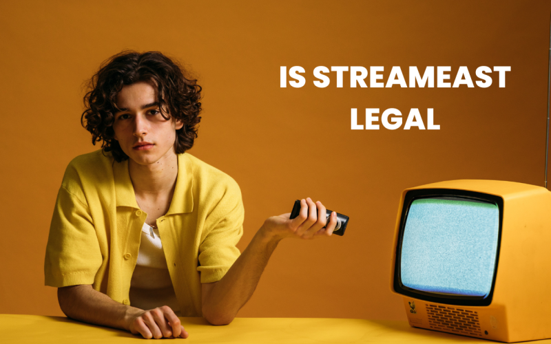 Is StreamEast Legal and Safe? | 2025 Ultimate Guide 8 Is StreamEast Legal