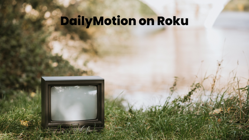 How to Watch DailyMotion on Roku | 2025 Ultimate Guide 1 DailyMotion on Roku