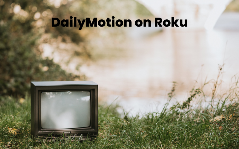How to Watch DailyMotion on Roku | 2025 Ultimate Guide 5 DailyMotion on Roku